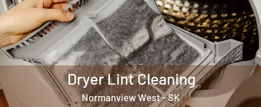  Dryer Lint Cleaning Normanview West - SK