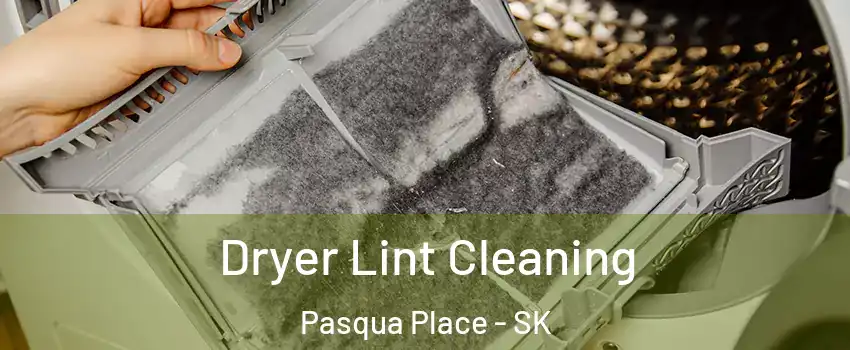  Dryer Lint Cleaning Pasqua Place - SK