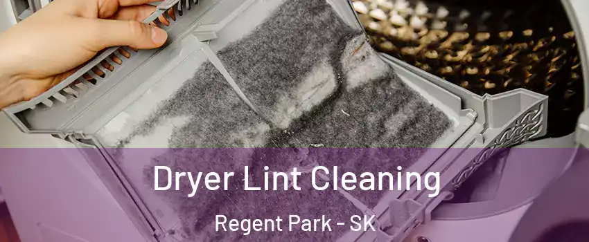 Dryer Lint Cleaning Regent Park - SK