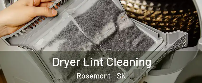  Dryer Lint Cleaning Rosemont - SK