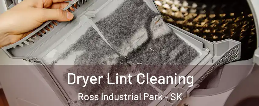  Dryer Lint Cleaning Ross Industrial Park - SK