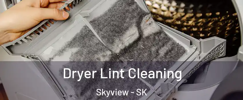  Dryer Lint Cleaning Skyview - SK