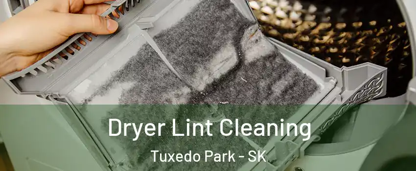  Dryer Lint Cleaning Tuxedo Park - SK