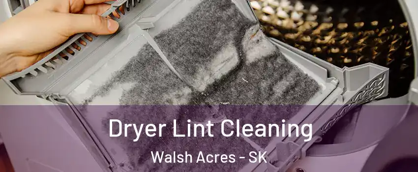  Dryer Lint Cleaning Walsh Acres - SK