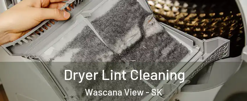  Dryer Lint Cleaning Wascana View - SK