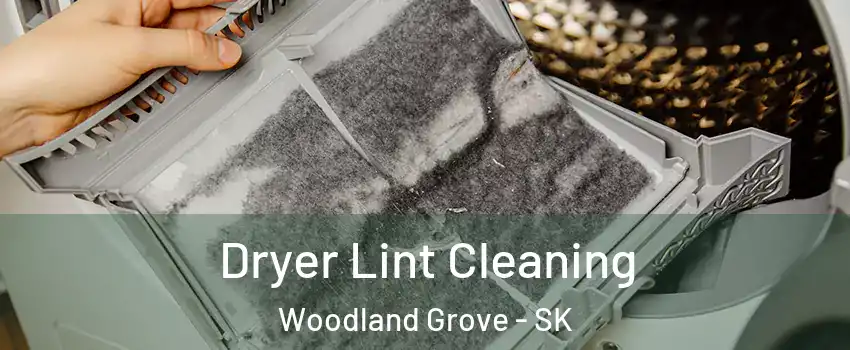  Dryer Lint Cleaning Woodland Grove - SK
