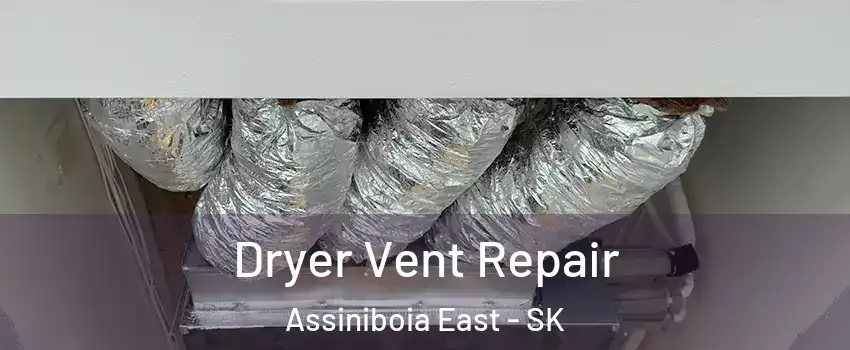  Dryer Vent Repair Assiniboia East - SK