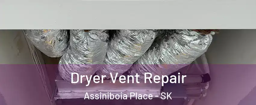  Dryer Vent Repair Assiniboia Place - SK
