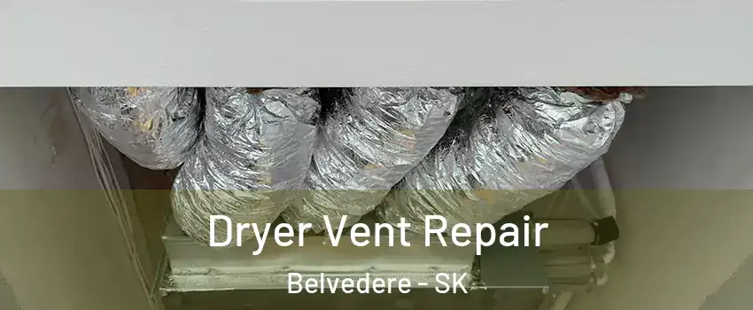  Dryer Vent Repair Belvedere - SK