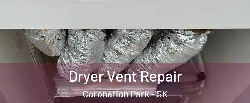 Dryer Vent Repair Coronation Park - SK