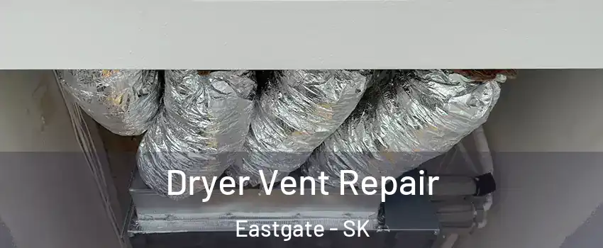  Dryer Vent Repair Eastgate - SK