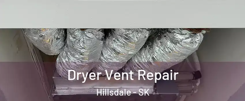  Dryer Vent Repair Hillsdale - SK