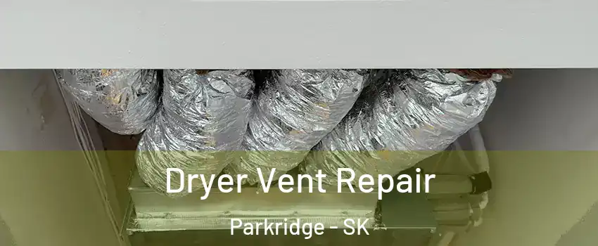  Dryer Vent Repair Parkridge - SK