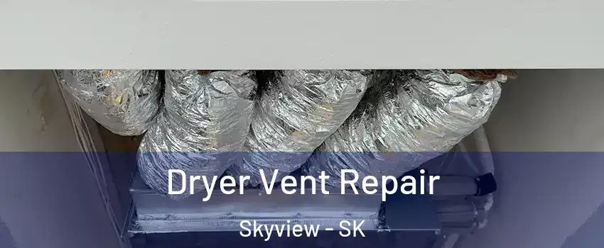  Dryer Vent Repair Skyview - SK