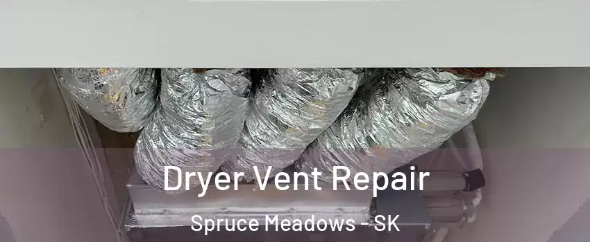  Dryer Vent Repair Spruce Meadows - SK