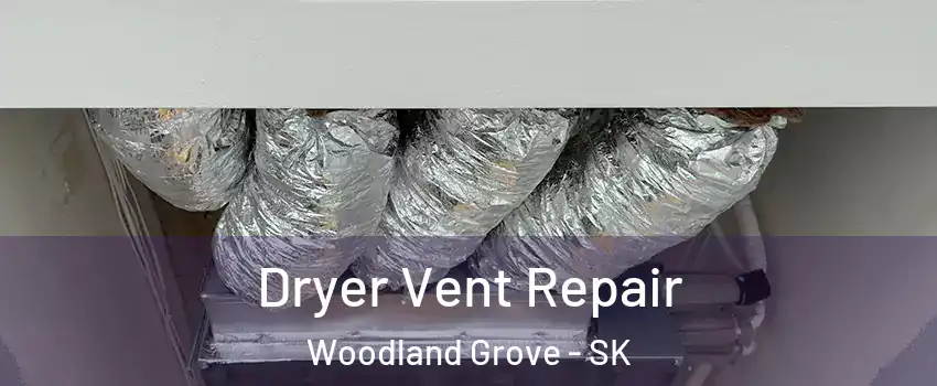  Dryer Vent Repair Woodland Grove - SK
