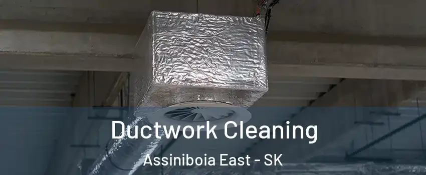  Ductwork Cleaning Assiniboia East - SK