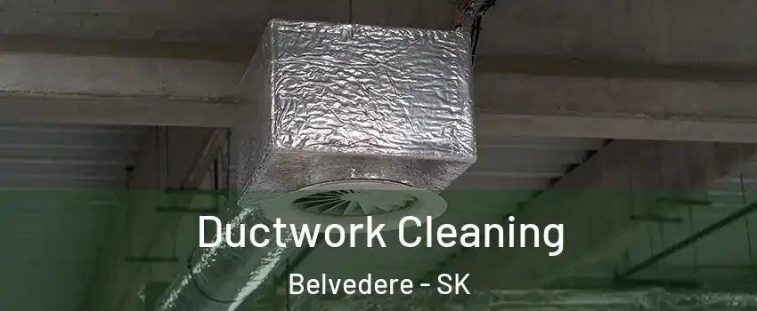  Ductwork Cleaning Belvedere - SK