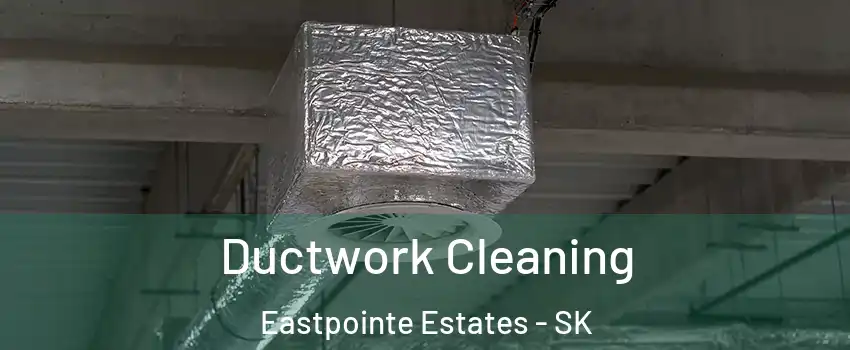  Ductwork Cleaning Eastpointe Estates - SK