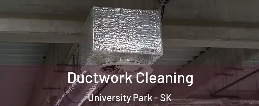  Ductwork Cleaning University Park - SK