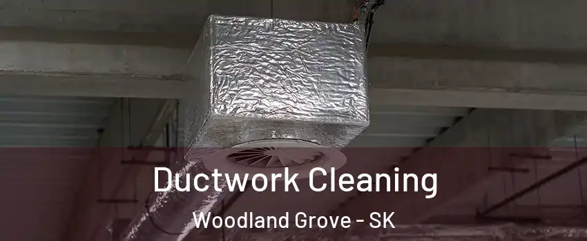  Ductwork Cleaning Woodland Grove - SK