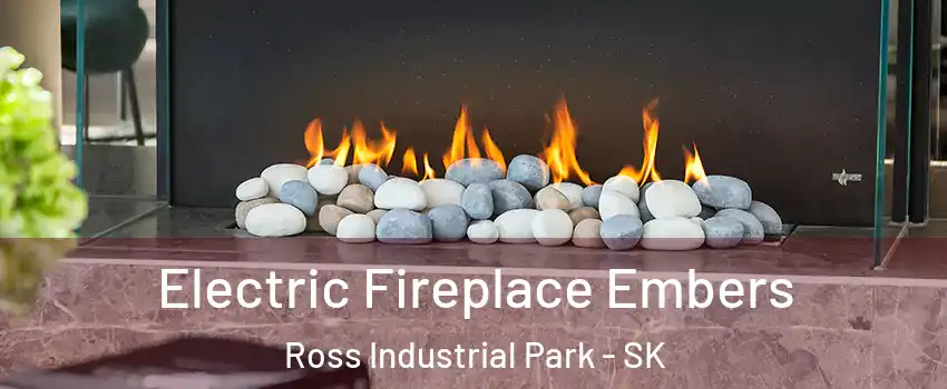  Electric Fireplace Embers Ross Industrial Park - SK