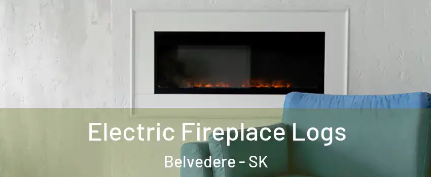  Electric Fireplace Logs Belvedere - SK