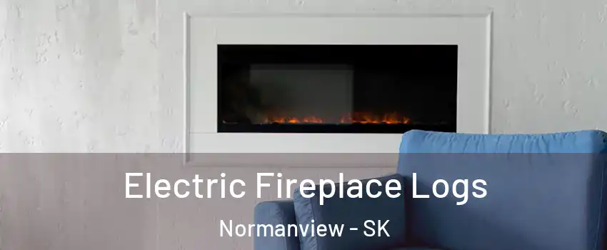  Electric Fireplace Logs Normanview - SK