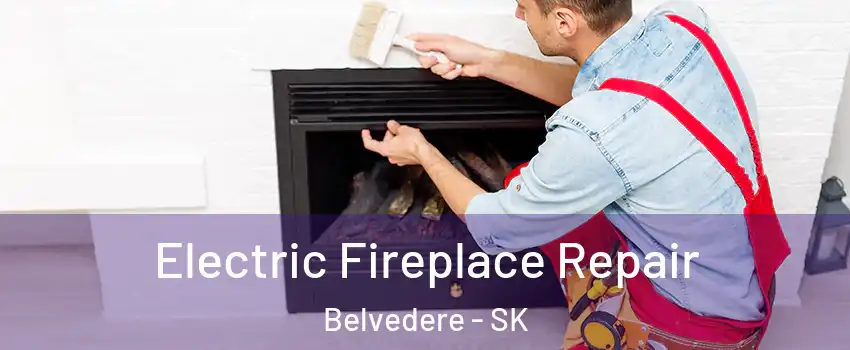  Electric Fireplace Repair Belvedere - SK