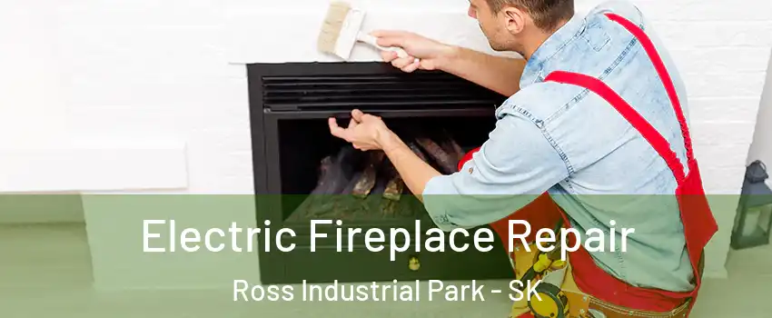  Electric Fireplace Repair Ross Industrial Park - SK