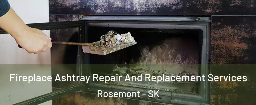  Fireplace Ashtray Repair And Replacement Services Rosemont - SK