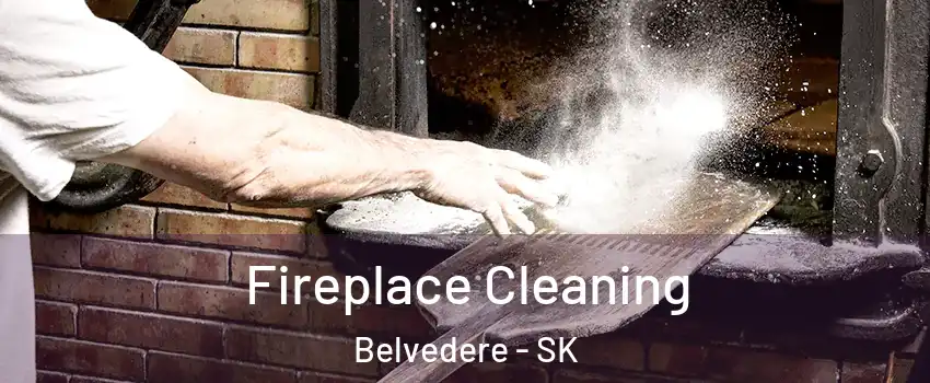  Fireplace Cleaning Belvedere - SK