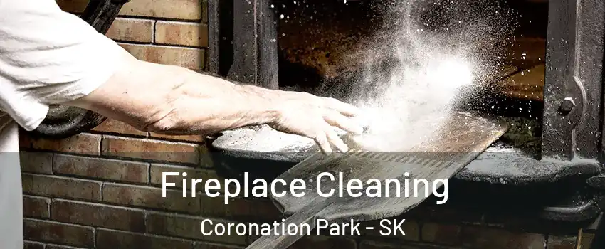  Fireplace Cleaning Coronation Park - SK