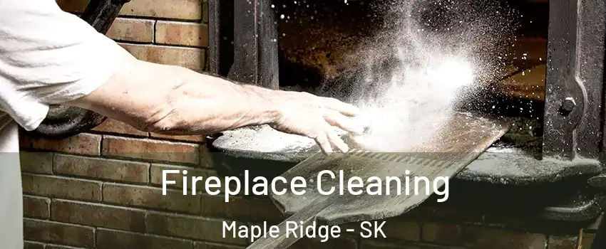  Fireplace Cleaning Maple Ridge - SK