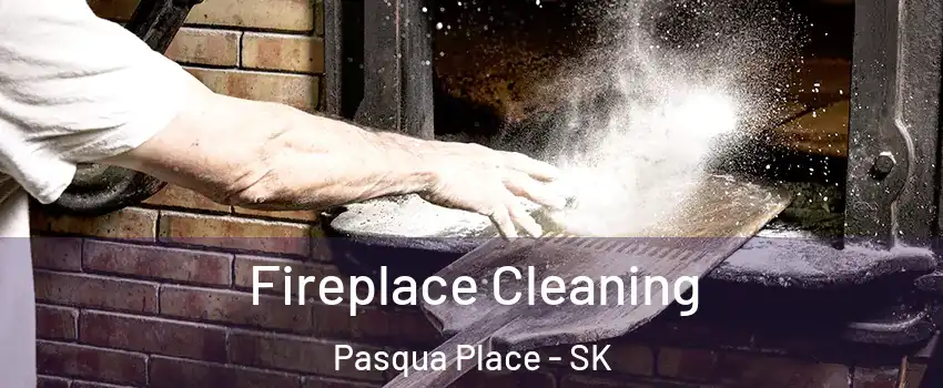  Fireplace Cleaning Pasqua Place - SK