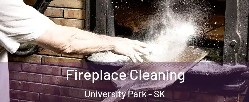  Fireplace Cleaning University Park - SK