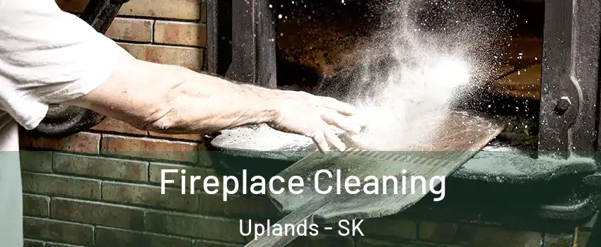  Fireplace Cleaning Uplands - SK