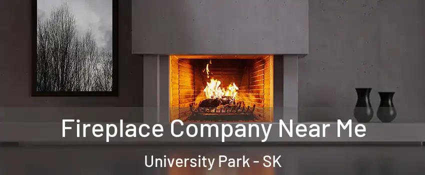 Fireplace Company Near Me University Park - SK