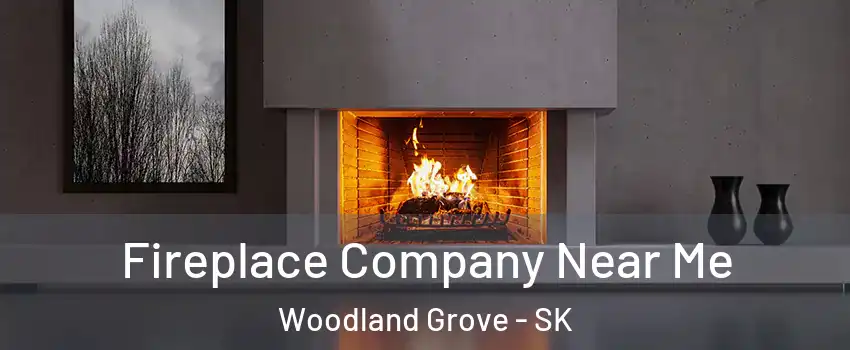 Fireplace Company Near Me Woodland Grove - SK