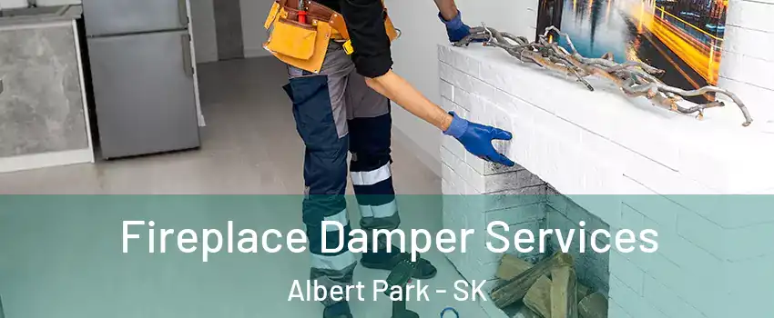 Fireplace Damper Services Albert Park - SK