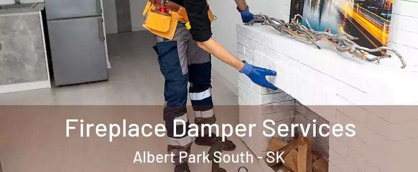 Fireplace Damper Services Albert Park South - SK