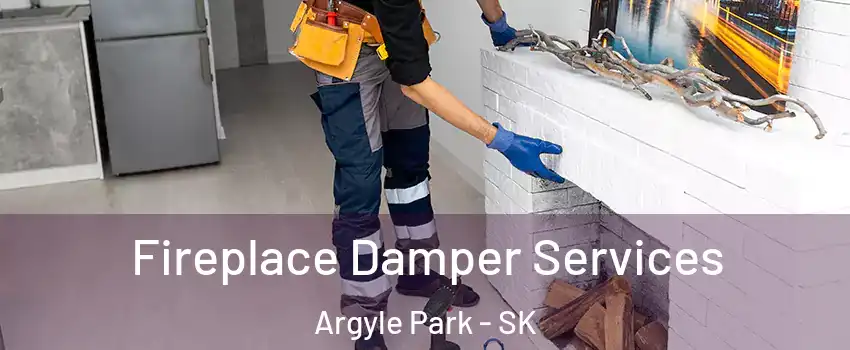 Fireplace Damper Services Argyle Park - SK