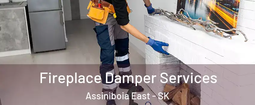 Fireplace Damper Services Assiniboia East - SK