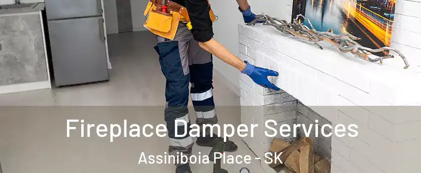Fireplace Damper Services Assiniboia Place - SK