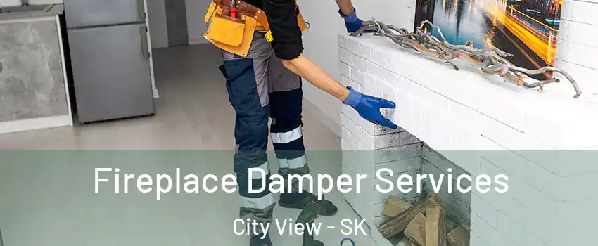 Fireplace Damper Services City View - SK