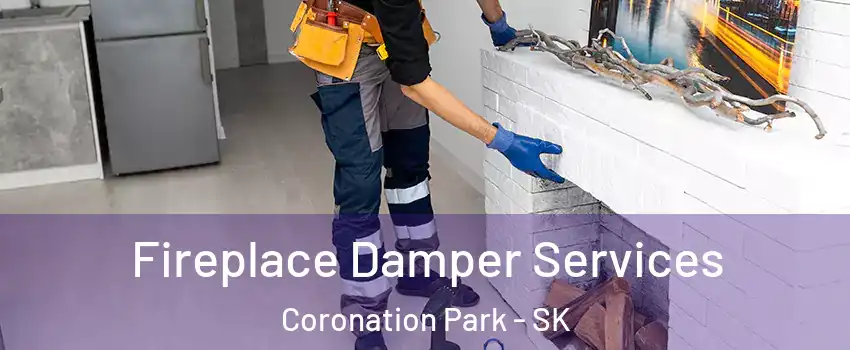 Fireplace Damper Services Coronation Park - SK