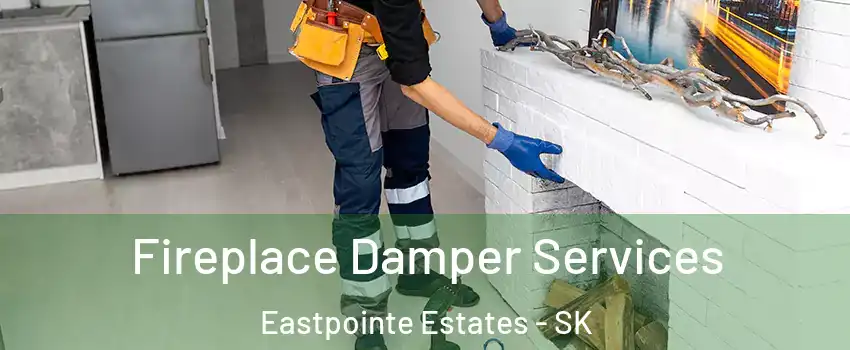 Fireplace Damper Services Eastpointe Estates - SK