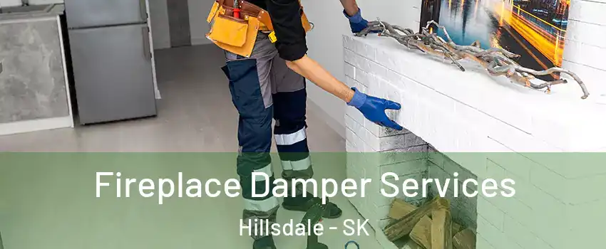 Fireplace Damper Services Hillsdale - SK