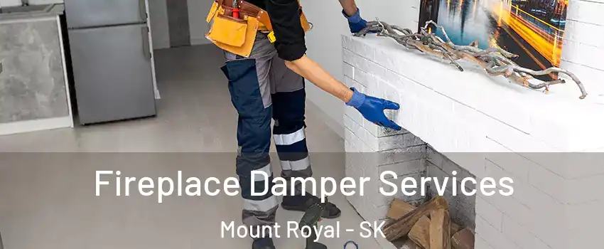 Fireplace Damper Services Mount Royal - SK