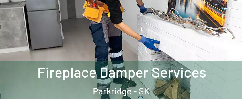 Fireplace Damper Services Parkridge - SK